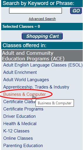 screenshot of the left navigation menu with the categories. The business and computer category is circled in red.