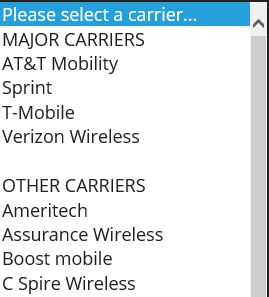 Screenshot of the list of cell phone providers on a computer.