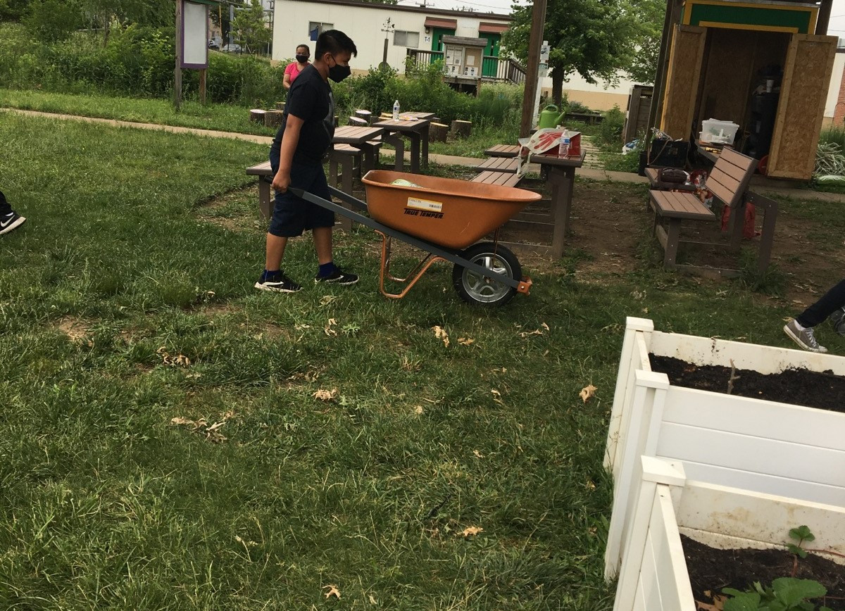 Lidia Gonzalez's son, Rony, pushes a wheelbarrow across the Lynbrook Elementary garden grounds.