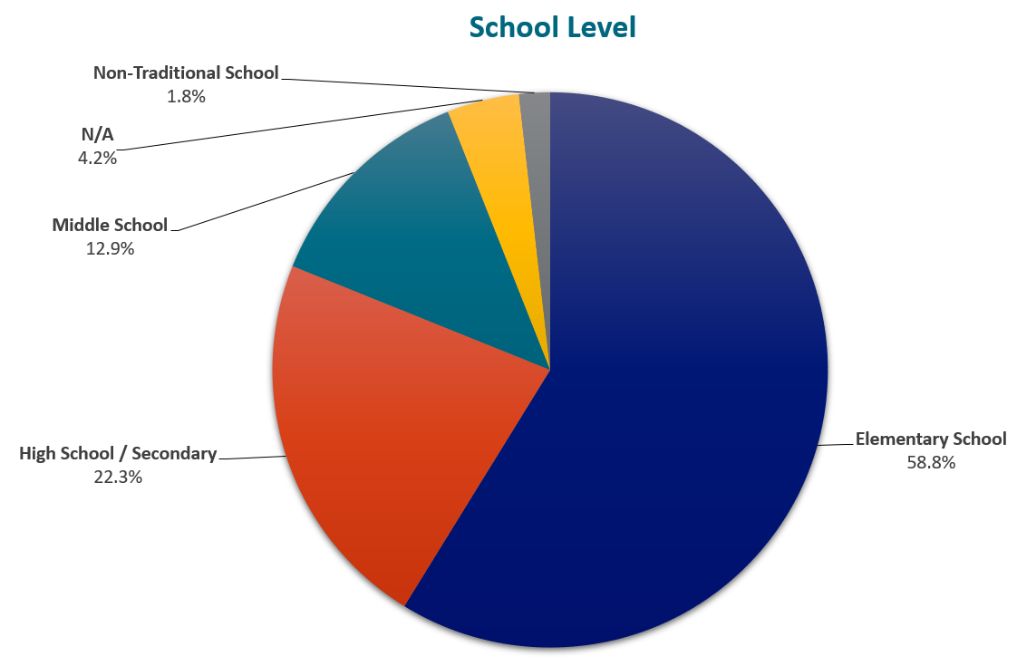 Pie Chart School Level