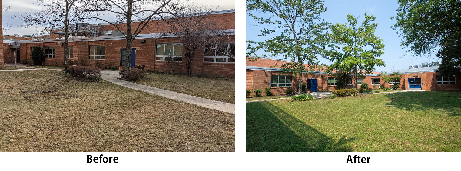 Pictures showing how the courtyard looked before and after the students set to work.