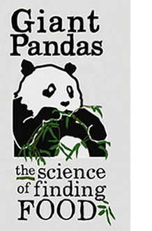 Giant Panda Logo