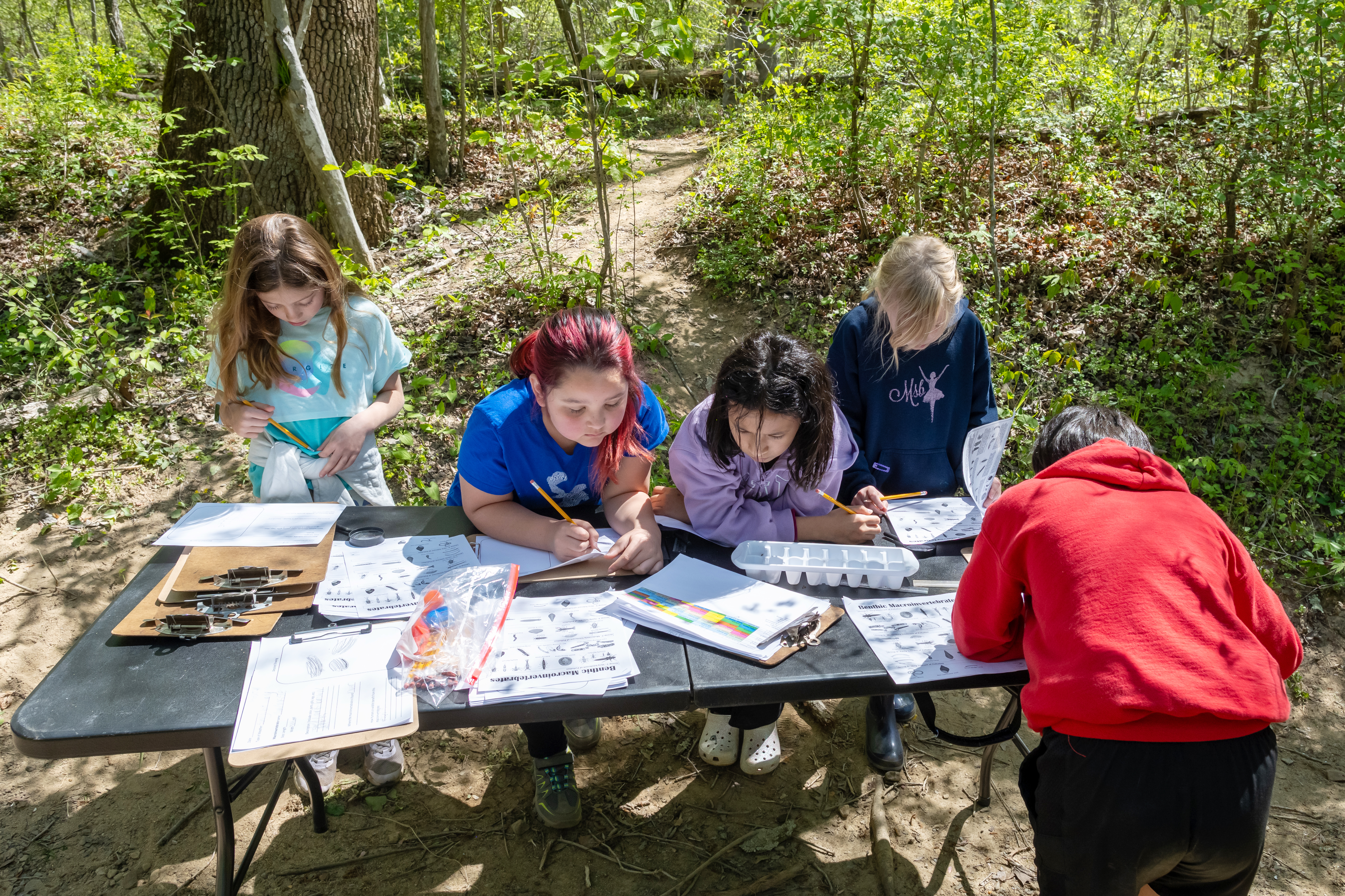 Students hunch over a folding table as they sketch microinvertebrates on paper attached to clipboards.