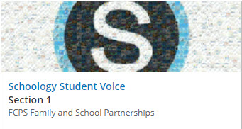 screenshot of student voices schoology course