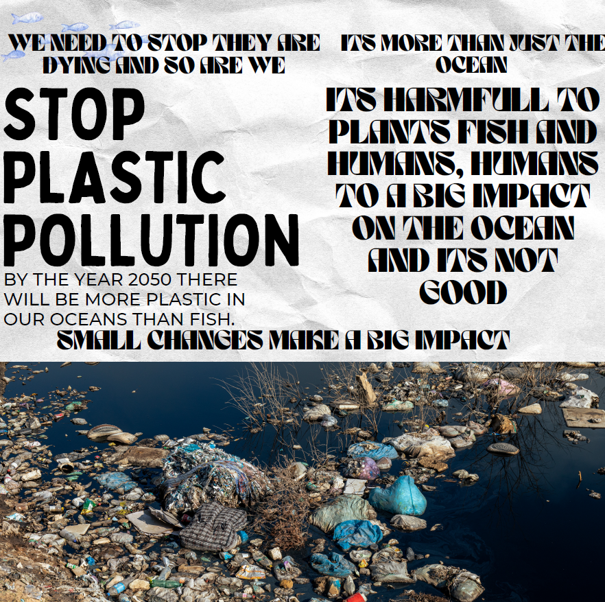 student-created PSA on the negative impacts of pollution on our oceans