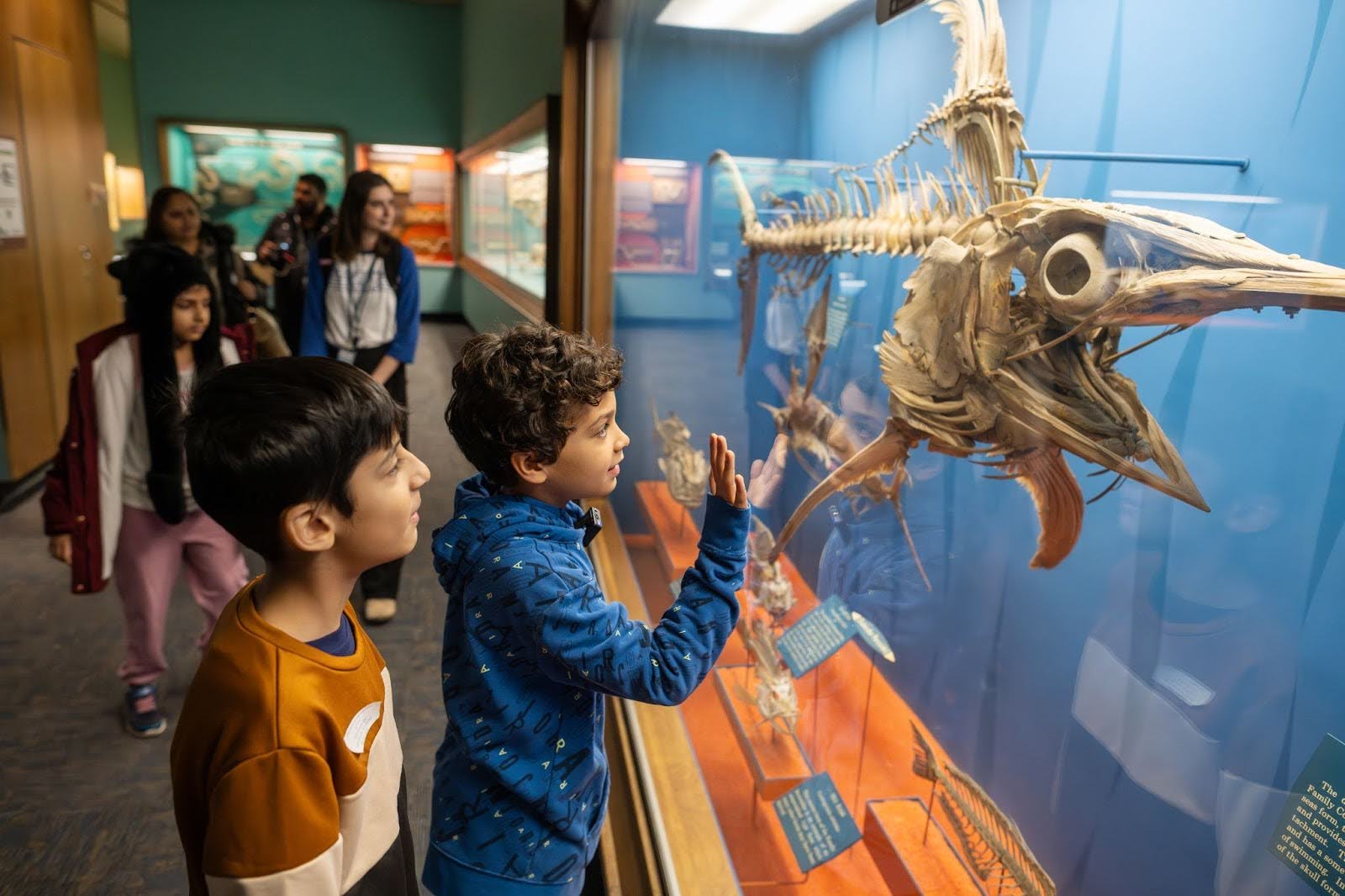 two students looking at an exhibit