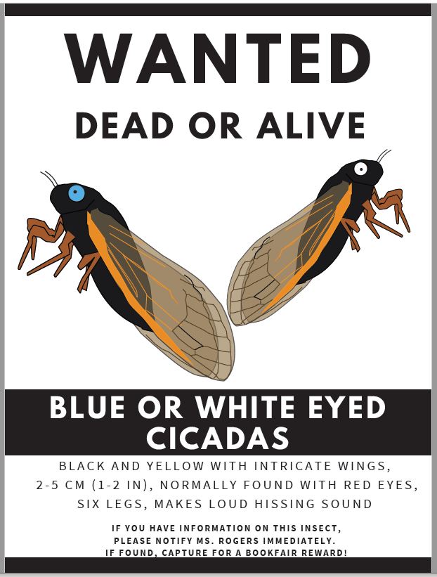 A teacher created a 'wanted' poster to encourage students to search for a rare type of cicada