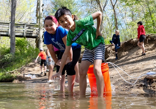 students release trout into stream